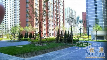 專業(yè)服務(wù)鑄就信賴 走近北京鑫意偉業(yè)房地產(chǎn)經(jīng)紀(jì)畢春燕的房源店鋪